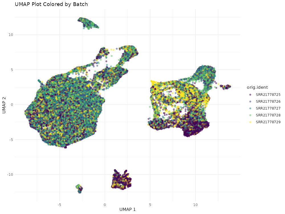 UMAP_result_Cover