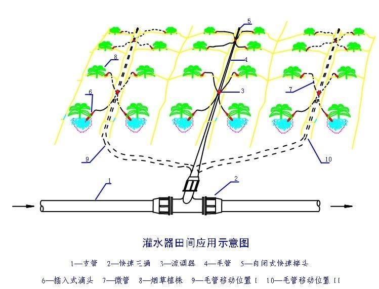 dripIrrigation_1