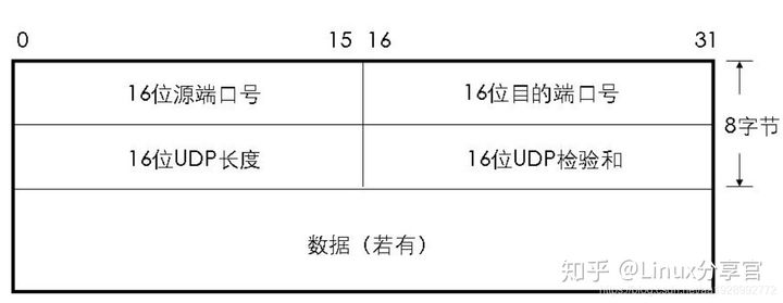 udp报文结构